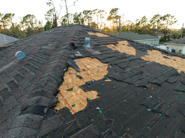 Best Roof Moss and Algae Removal  in Vamo, FL